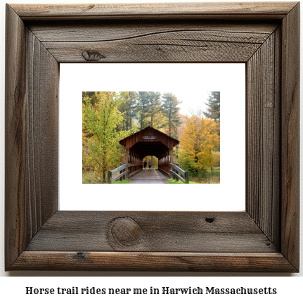 horse trail rides near me in Harwich, Massachusetts